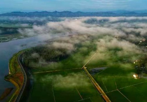 2023年裕安區(qū)高標(biāo)準(zhǔn)農(nóng)田建設(shè)蘇埠鎮(zhèn)片區(qū)