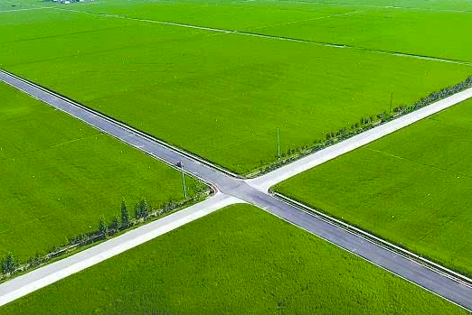 高標(biāo)準(zhǔn)農(nóng)田建設(shè)